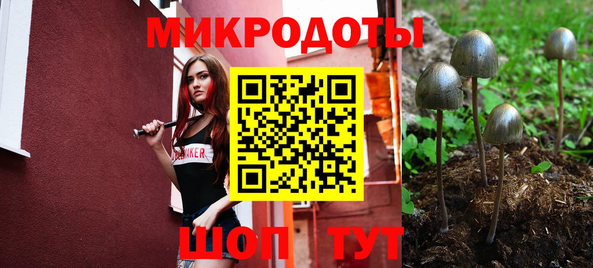 Галлюциногенные грибы MAGIC MUSHROOMS  продажа наркотиков  Галлюциногенные грибы мухоморы  Кисловодск  Вход с VPN 