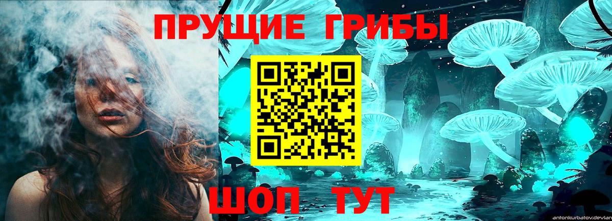 Галлюциногенные грибы Magic Shrooms Кисловодск